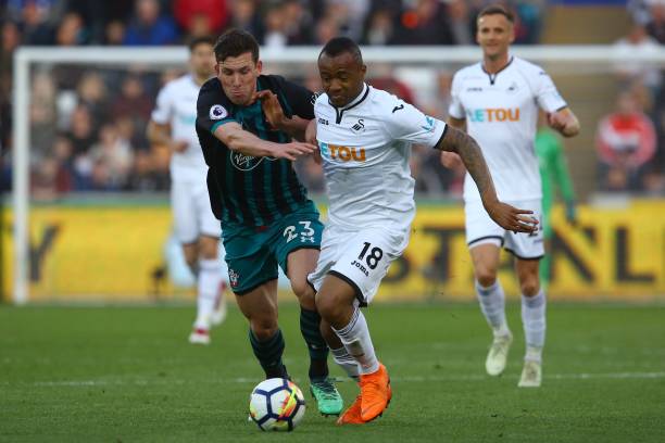 们展示了 们展示了