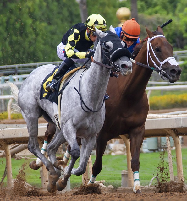 法甲第16 法甲第16